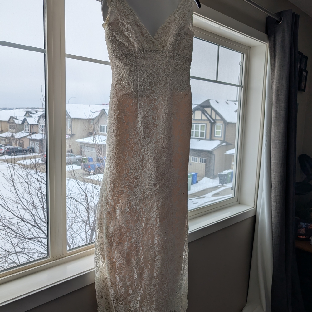 Elegant Lace V-Neck Dress